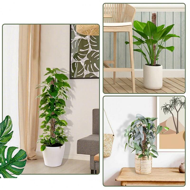 植物を登るための屋内スタッカブルモスキポール、植物サポートフレーム、耐久性、成長が簡単