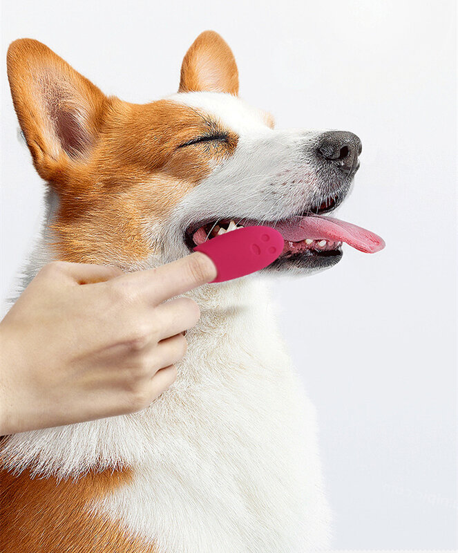 Cepillos de dientes de silicona para gatos y perros, herramientas para el cuidado del sarro, suministros de limpieza