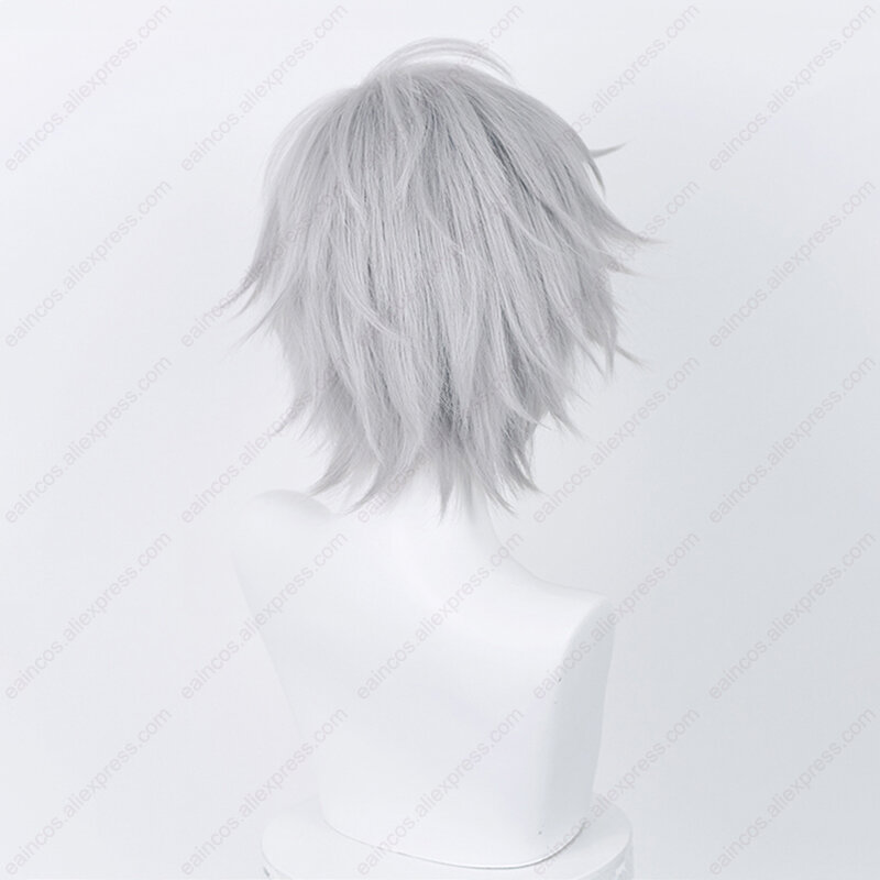 Anime EVA Kaworu Nagisa Cosplay Wig 32cm Silver Grey Short Wigs Heat Resistant Synthetic Hair Halloween Party