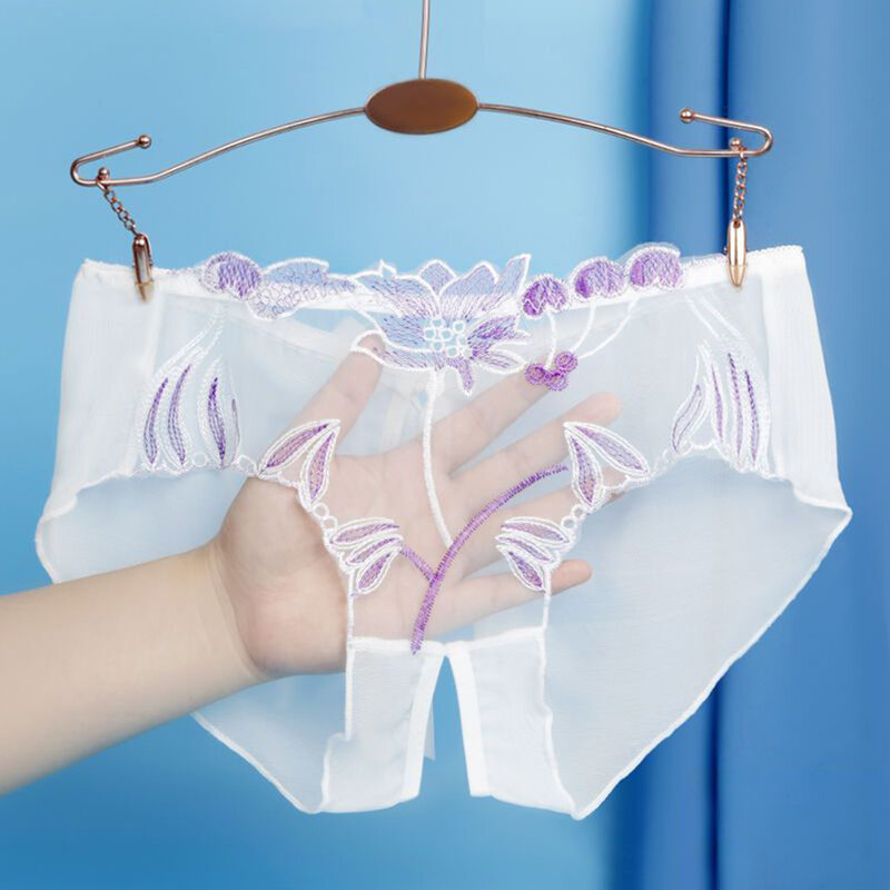 Open Crothc Underwear Women Transparent Mesh Briefs See Through Underpants Female Erotic Lingerie Hollow Out Sheer Panties