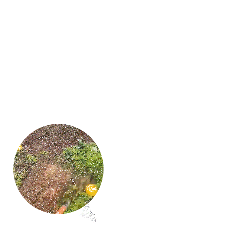 Giardinaggio zappa diserbo rastrello strumento agricolo in acciaio presa livello di rastrellamento allentare erpice del suolo foglie pulite raccogliere erbacce strumento agricolo