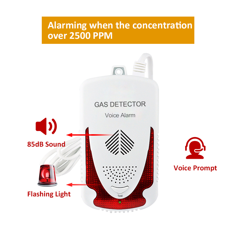 Gas Leak Detector LPG Natural Methane Leakage Sensor For Household Kitchen Alarm System with DN15 Manipulator Valve