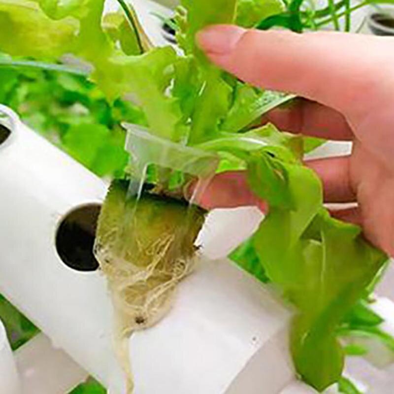 수경 재배 시스템 실내 야채 심기 랙, 온실 정원 구멍, 에어로빅 식물 수경 재배 화분 설치