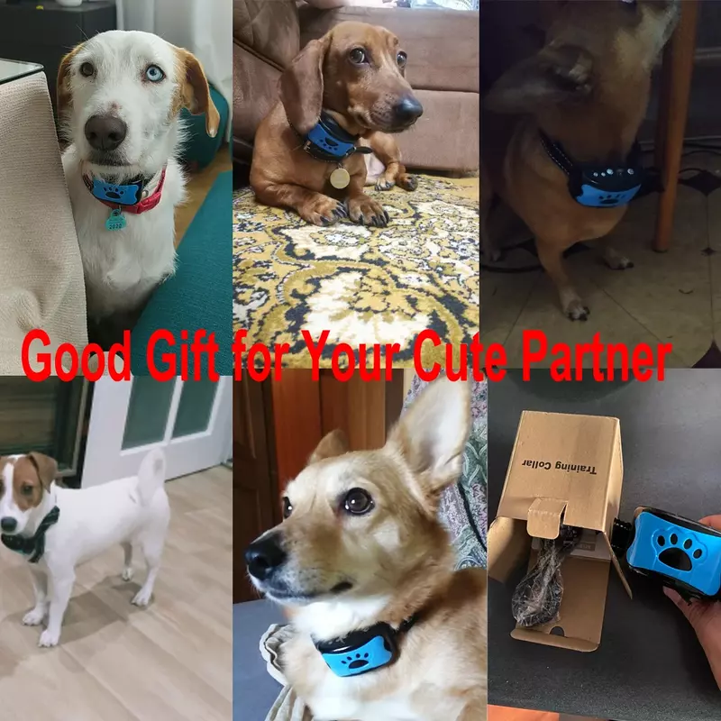 Pet Dog urządzenie przeciwko szczekaniu USB elektryczne ultradźwiękowe psy obroża treningowa Dog Stop Barking wibracje obroża antyszczekowa Dropship