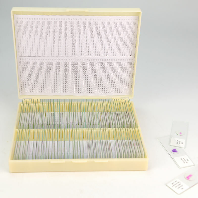 100 sztuk sekcji tkanek ludzkich histologia przygotowana próbka szkiełka podstawowe ludzkie normalne chromosomy zarodka tkanek