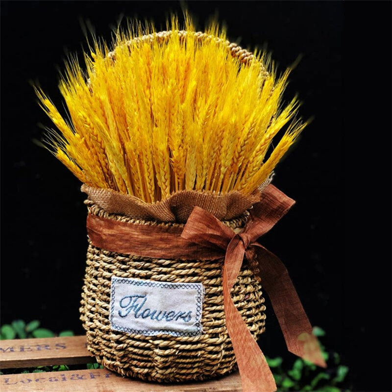 Bouquet di fiori di punte di grano essiccato naturale per attività di negozio organizzare 100 pezzi di vero oro stabilizzato orecchio di grano ornamenti per la casa fai da te