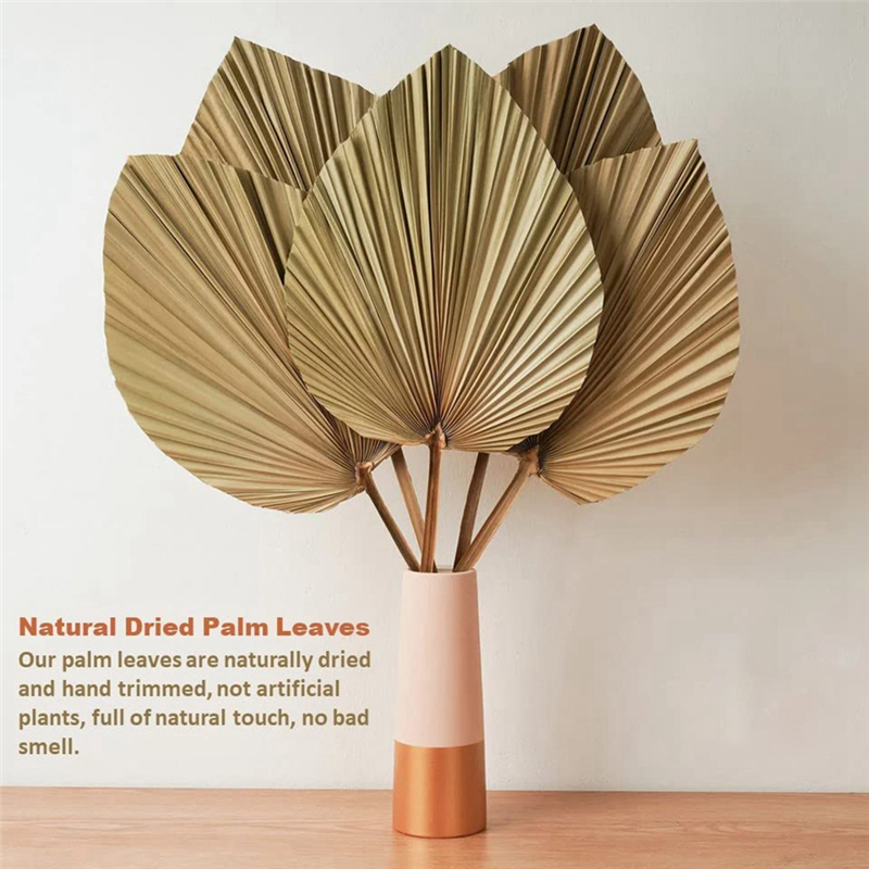 4 Stuks Natuurlijke Gedroogde Palmbladeren Zijn Perfect Voor Palmbladdecor, Boho-Decor, Huisdecor, Bruiloft