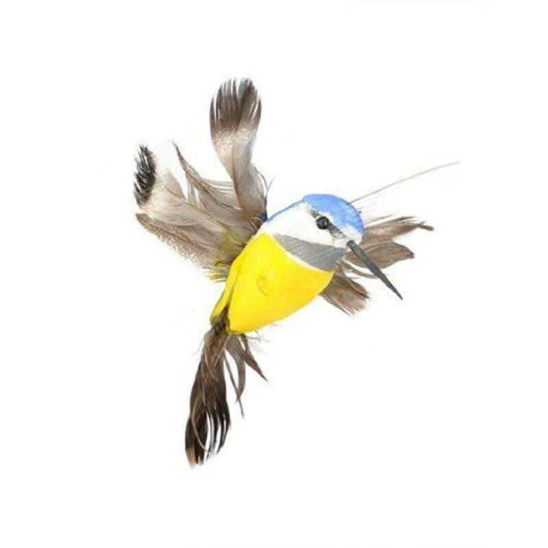 Słoneczne fruwające kolibry skrzydła z piórami i ogonem latająca kolibra