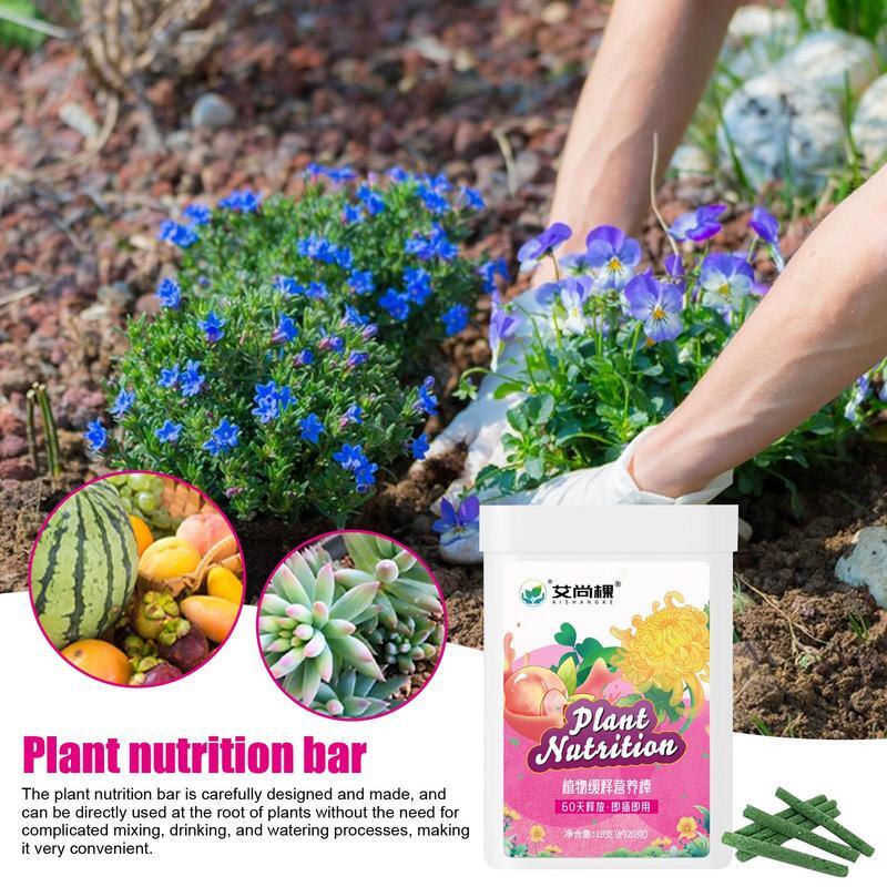 House Plant Nutrient Sticks Houseplant Food Spikes For Continuous Feeding Time Saving And Effective Food Spikes For Medicinal