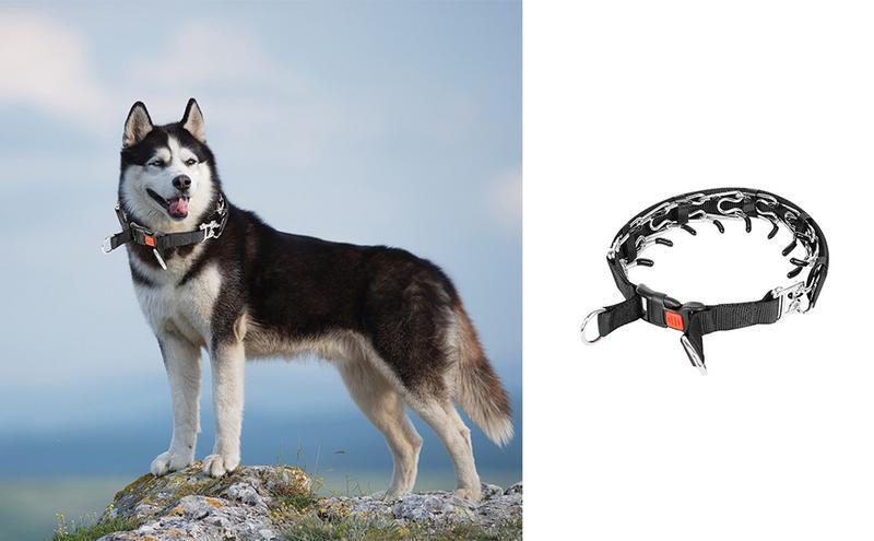 Prongトレーニング犬の首輪、超プラス、犬用のクイックリリーススナップ、取り外し可能なチョーカー、ステッカーストリップ付きピンチ