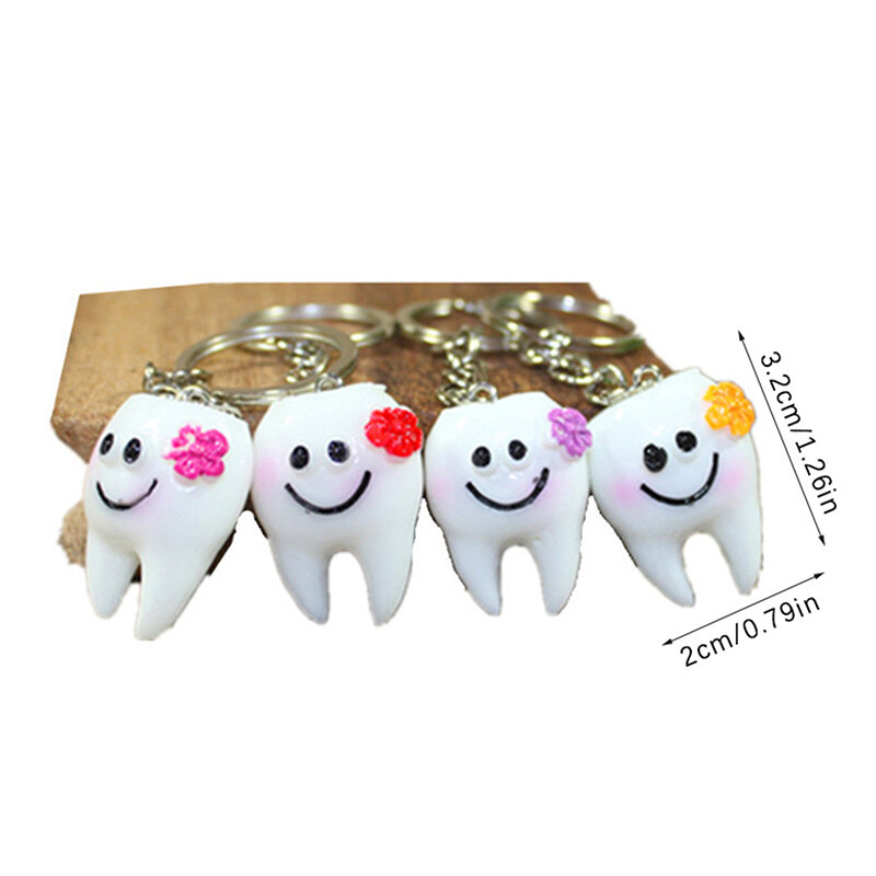 Dentes dentários Forma Chaveiro, Simulação Modelo Dente, Pingente De Carro Decorativo, Acessórios Da Bolsa, Presente Do Dentista