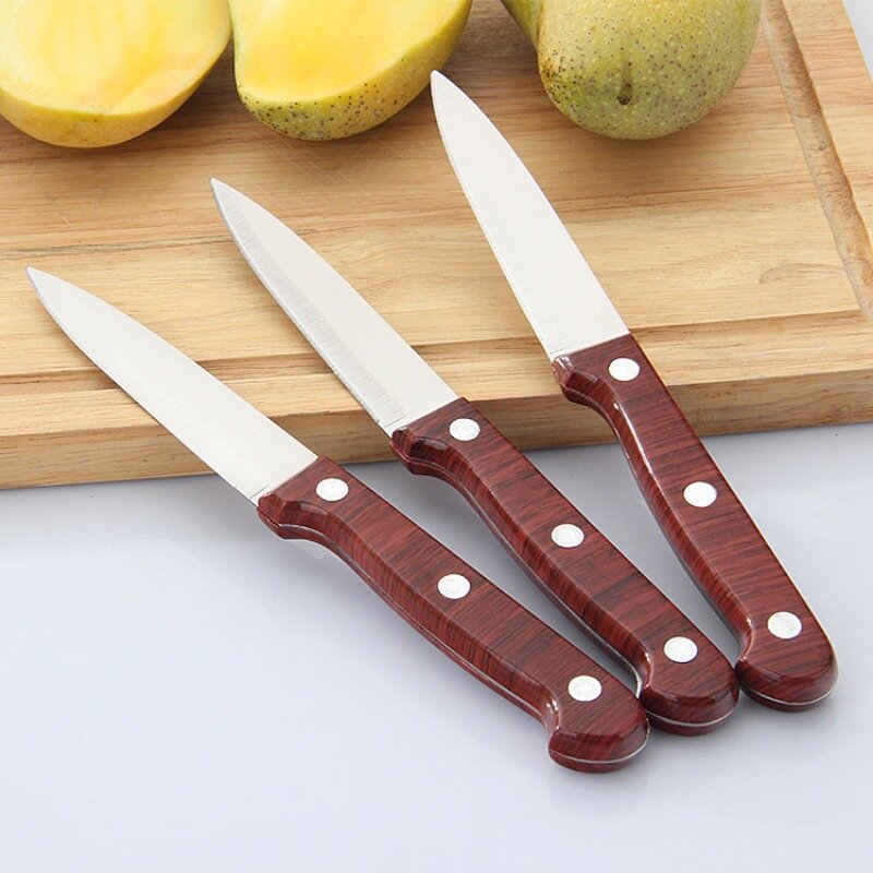 2024 New Household Fruit Cutter Stainless Steel Melon and Fruit Peeler Retro  Peeler Kitchen Peeler tactical knife