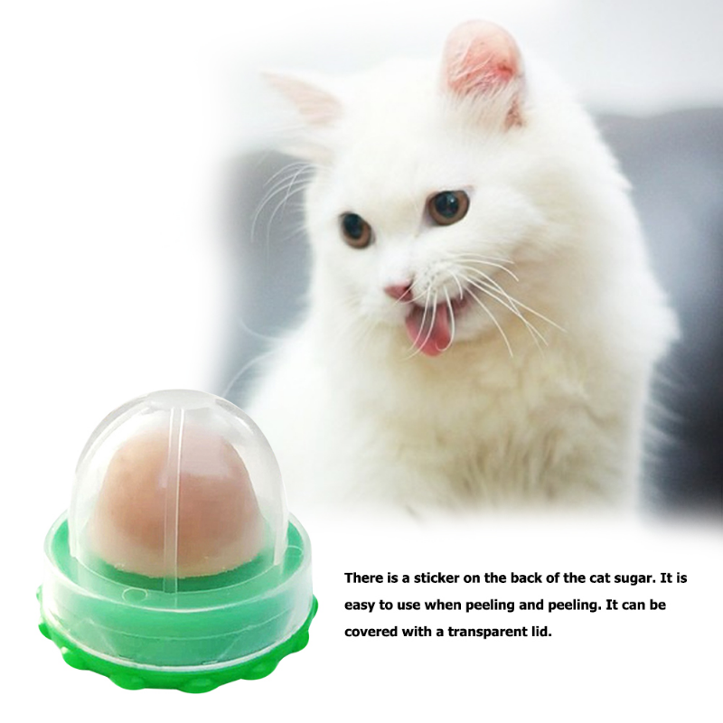 Natural Cat Catnip Wall Toy, Stick-on lambendo doces, lanche para gatinho, aumentar a digestão de beber, energia, 8pcs