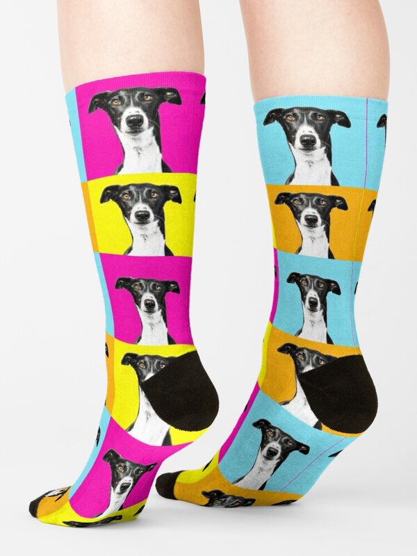 Colorful pop art greyhound on orange yellow blue and pink Socks custom sports funny gift calzini da donna da uomo