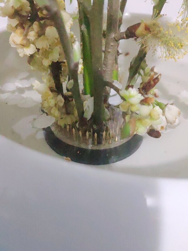 กระถางดอกไม้ญี่ปุ่น ikebana kenzan กบตัวยึดฐานเครื่องมือโลหะลายดอกไม้