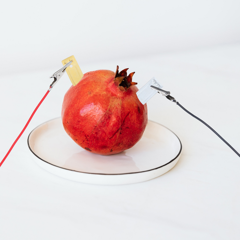 Kit di progetti di esperimenti per la generazione di energia della frutta giocattoli per bambini studenti fornitura scientifica Prop