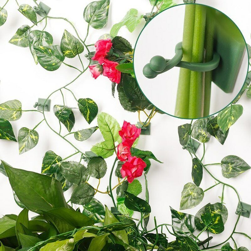 Auto-adesivos grampos de jardim, Clamp Plant Climbing Wall, fixador invisível, ganchos para plantas, videira fixa, Stent Clip, 50pcs