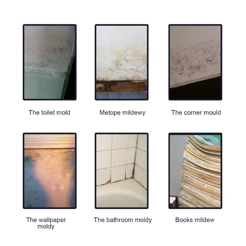nettoyage moisissure pour salle bains, 60ml, dissolvant moisissure murale, d'élimination domestique,