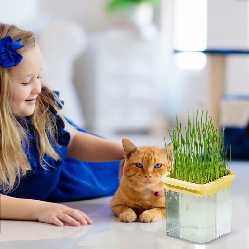 Bandeja de hierba para gatos sin suelo, Kit de cultivo de hierba gatera hidropónica, caja de hierba para gatos, caja de hierba de trigo para el hogar