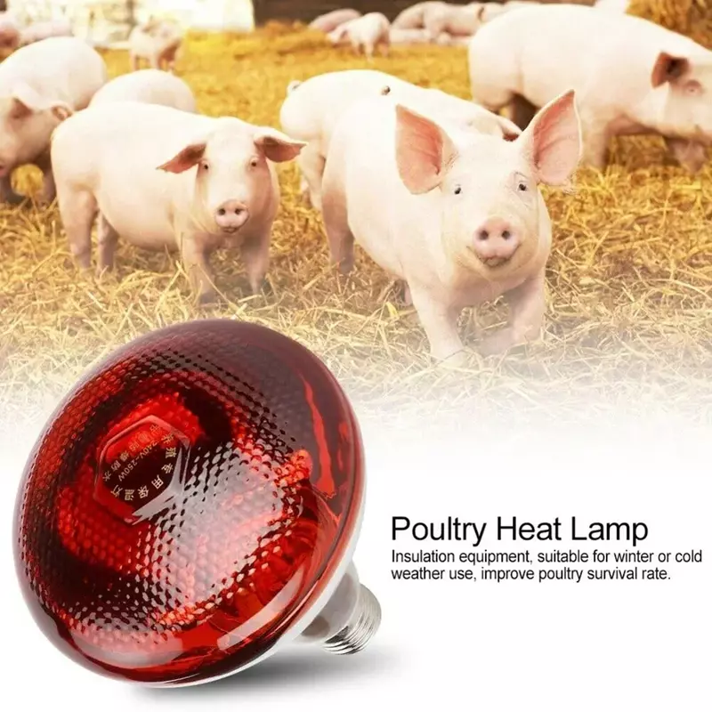 220V Poultry Heating Bulb 100/150/200/275W Infrared Insulation Heating for Reptiles Plants Chickens Amphibians Pets Livestock
