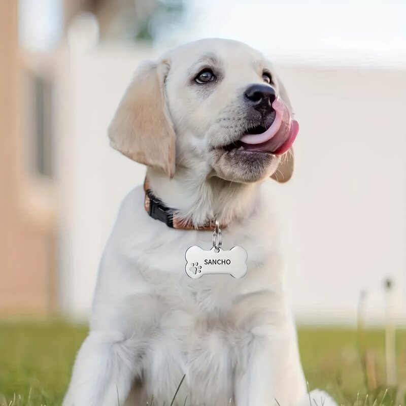 1PC targhetta identificativa per cani personalizzata-targhetta con nome per animali domestici in acciaio inossidabile inciso personalizzato, accessorio per collare per cani di taglia piccola, media e grande
