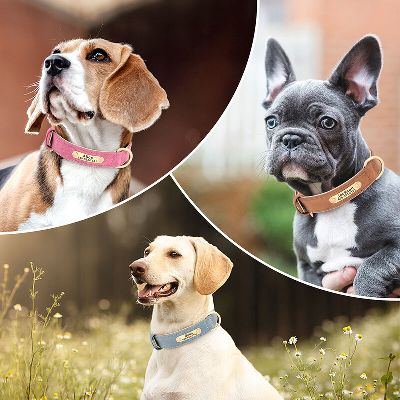 Collar de piel sintética con grabado personalizado para perro, placa de identificación con grabado gratis para perros pequeños, medianos y grandes