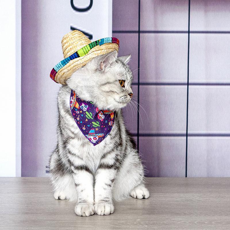 멕시코 애완 동물 빨대 미니 빨대 솜브레로 모자, 멕시코 파티 모자, 작은 애완 동물 고양이 개 파티