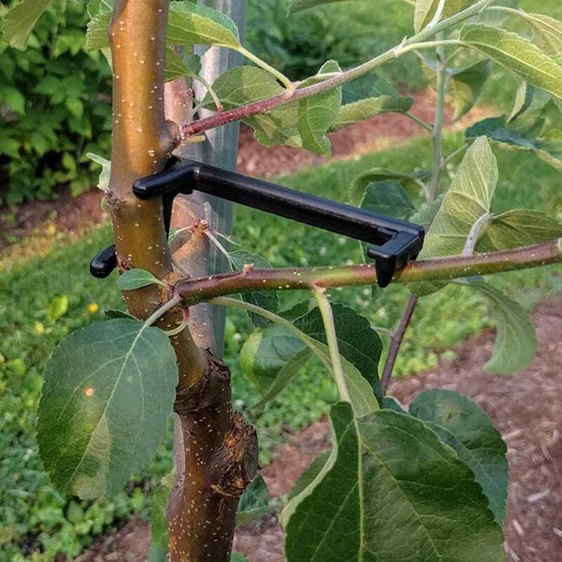 10 sztuk gałąź drzewa owocowego es uchwyt gałęzi owoców rozrzutnik gałąź drzewa wspornik dla silnego oddziału dla gałąź drzewa es Fixe