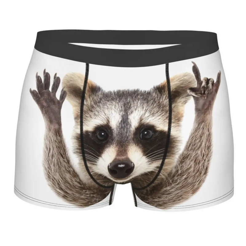 Respirável Guaxinim Panda Boxer Shorts para Homem, Roupa Interior Sexy, Legal, Bonito, Amor, Cuecas, Calcinhas, Cuecas