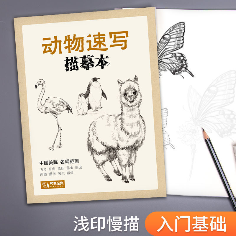 Libro de trazado de bocetos de animales, libro de dibujo de líneas de dibujo de flores, Primer libro Tutorial de autoestudio para novatos