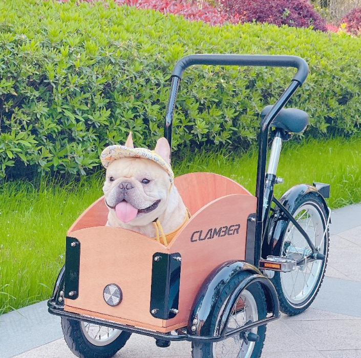 European Pet Scooter Trend Brand New Design Popular Cute Bicycle Cat And Dog Stroller