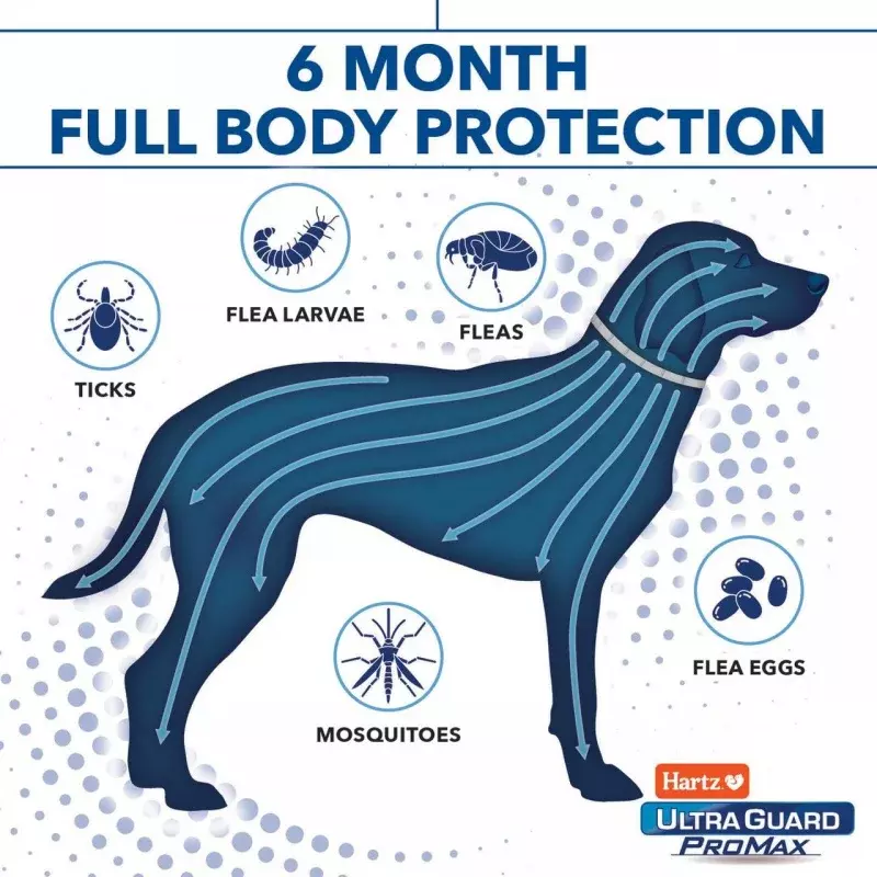 Collar de pulgas y garrapatas Hartz UltraGuard ProMax para perros y cachorros con tecnología de confort, gris, 2 paquetes
