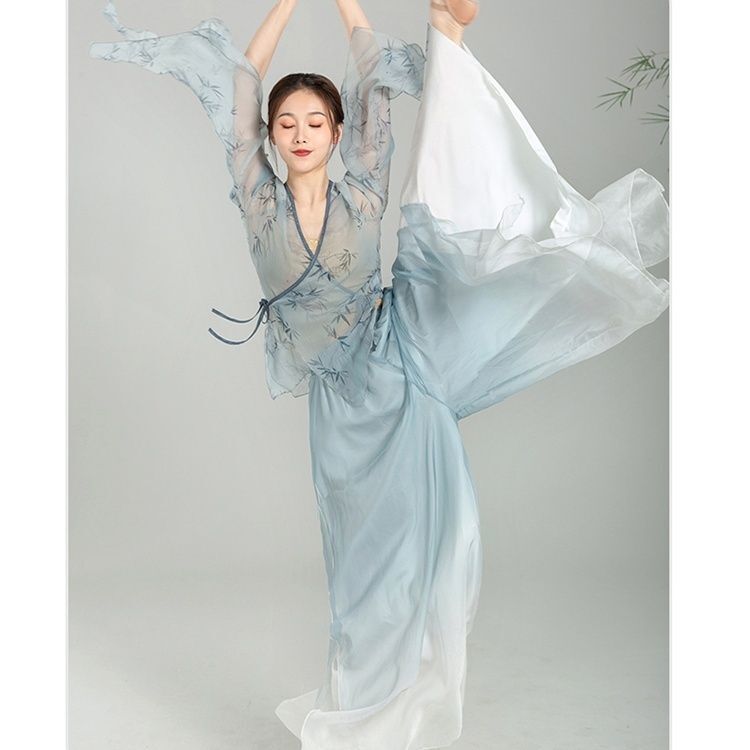 우아한 중국 무용 재킷 드레스, 클래식 댄스 의상, 우아한 바디 참, 우아한 쉬폰 드레스, 공연 드레스
