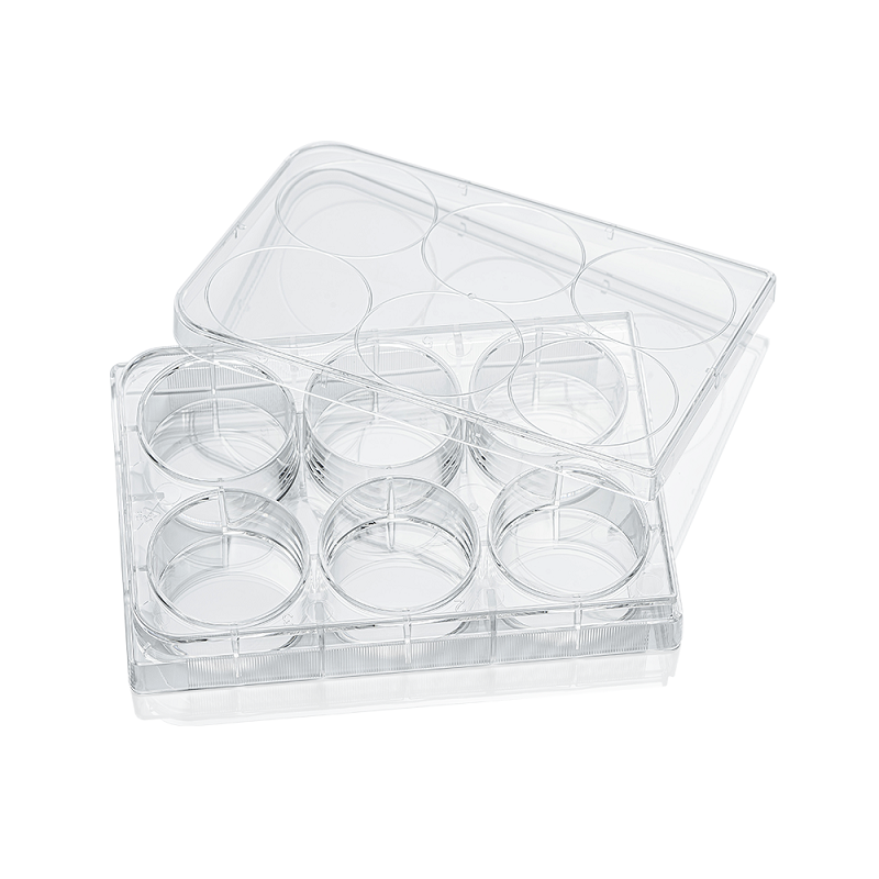LABSELECT 6-well Cell Culture Plate, Paper-plastic packaging, 11112