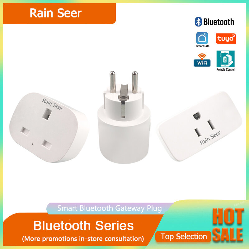 Rain Seer Bluetooth Gateway Smart Plug Pasangan Smart Life atau Tuya App Home Garden Irrigation System Remote Control Accessories