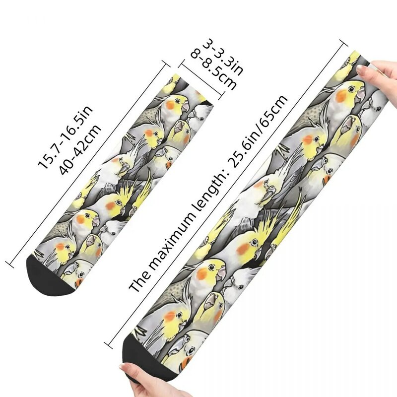 Engraçado masculino meias cockatiels em abundância vintage harajuku bonito pássaro animal de rua estilo sem costura tripulação meia louca presente padrão impresso