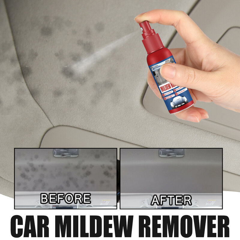 Rimozione della muffa dell'auto sedili interni dell'auto tappetini per piedi rimozione dello stampo del tetto pulizia e manutenzione dello stampo Spray