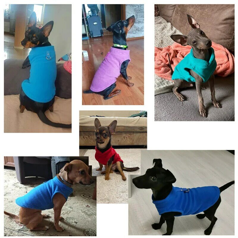 Jaqueta de lã para cães pequenos, roupa de cachorro, roupa de cachorro, traje de pug, colete chihuahua, Yorkie Kitten, inverno