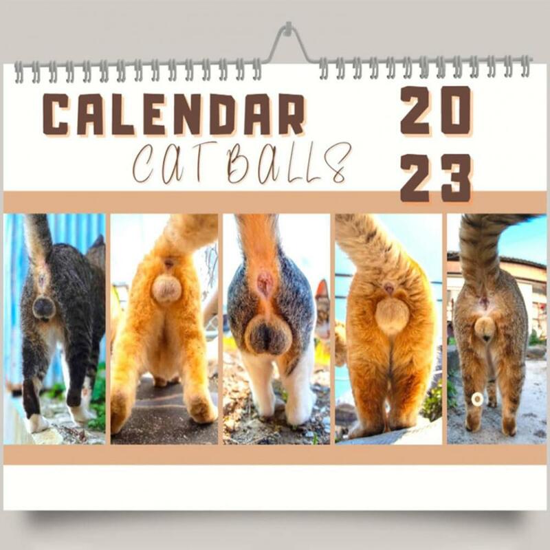 Календарь с кошачьими ягодицами, практичный дизайн катушек, прозрачная печать, 2023 учебный год, домашний календарь для дома