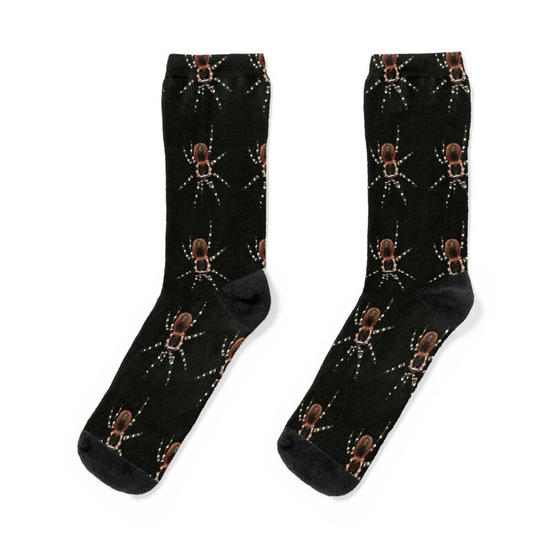 Acanthoscurria geniculata tarantula Socks soccer anti-slip heated funny gift bright garter Luxury Woman Socks Men's