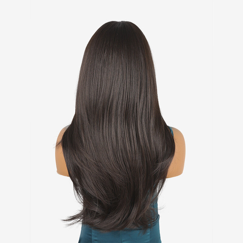 SNQP Wig rambut lurus panjang, rambut palsu Cosplay pesta Harian Wanita tampilan alami modis tahan panas