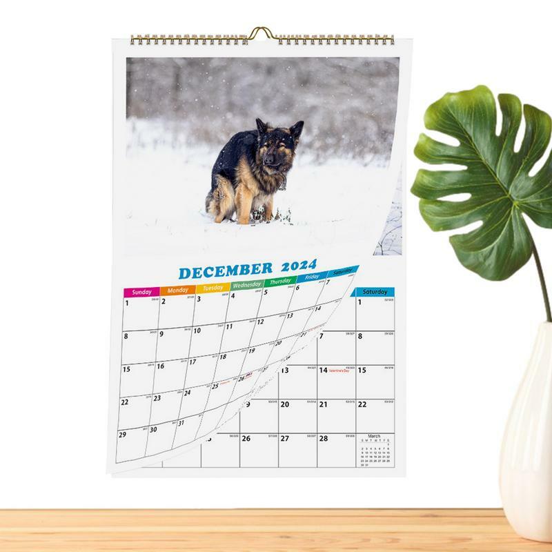 Calendrier mural 2024 pour faire caca de chien dans de beaux endroits, calendrier drôle 2024, cadeau de licence de 12 mois pour Noël