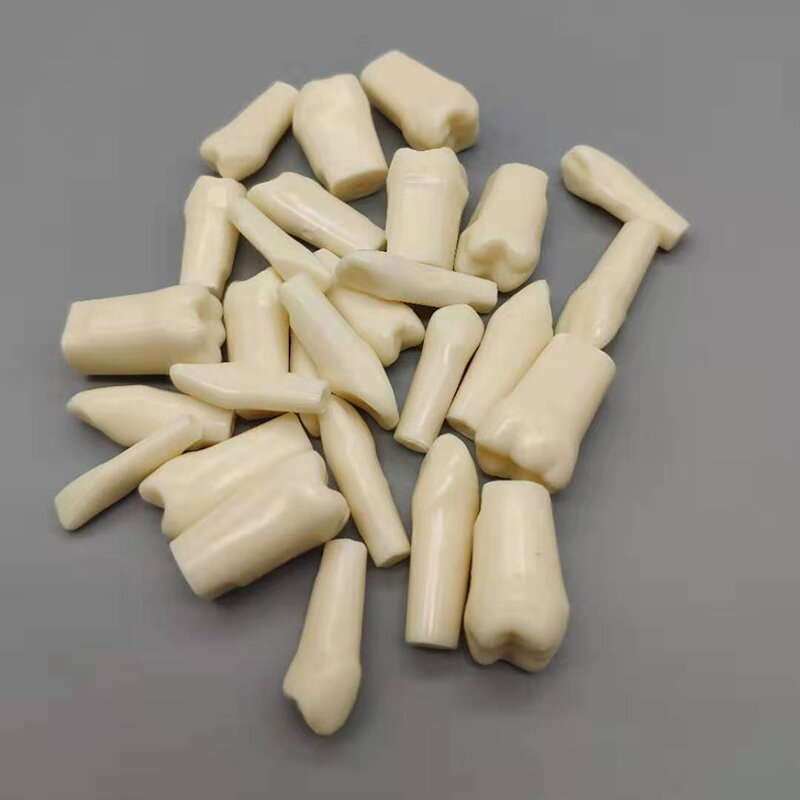 1/5/10Pcs Tooth Dental Teeth Model For Dentist Technician Practice Preparation Removable Tooth Dentistry Training Models