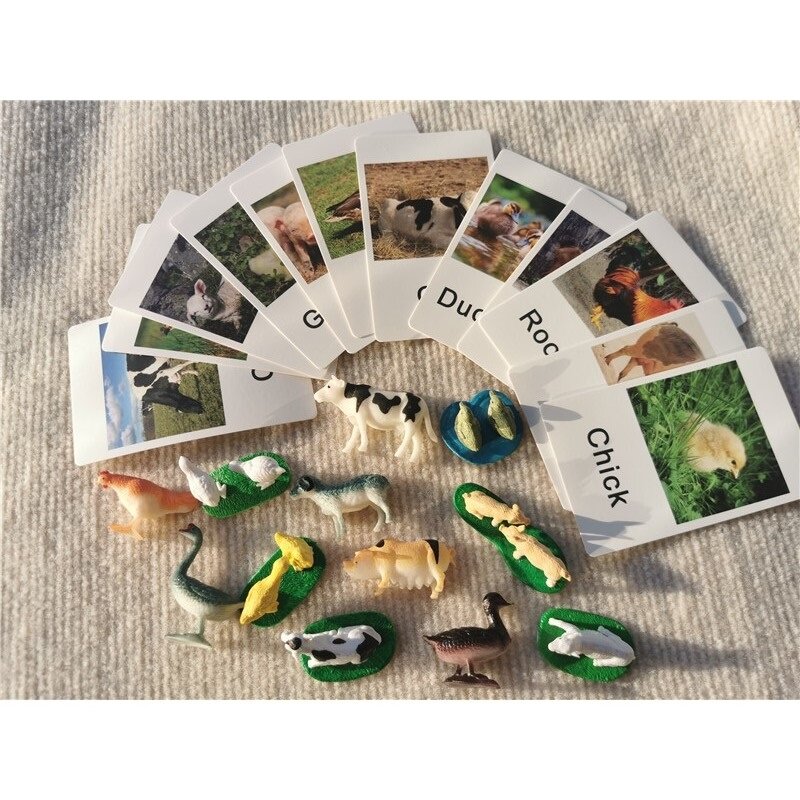Tableta de aprendizaje de madera Montessori Toys con tizas, Bandejas divididas, simulación de animales, tarjetas de estudio en inglés combinadas