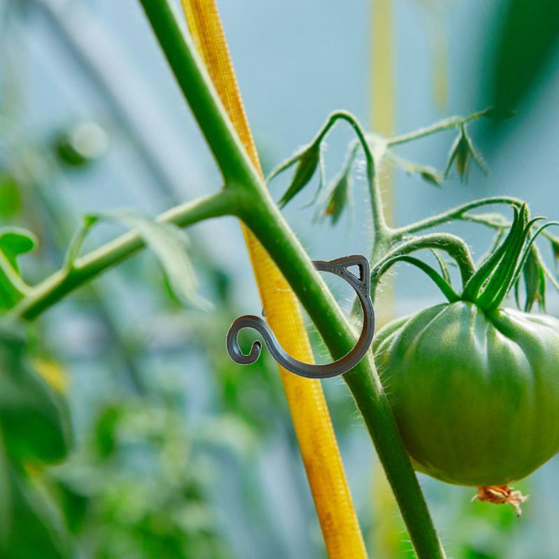 Clips de soporte para tomate en forma de gato, herramienta de soporte para plantas de jardinería, uva y tomate, vid y verduras