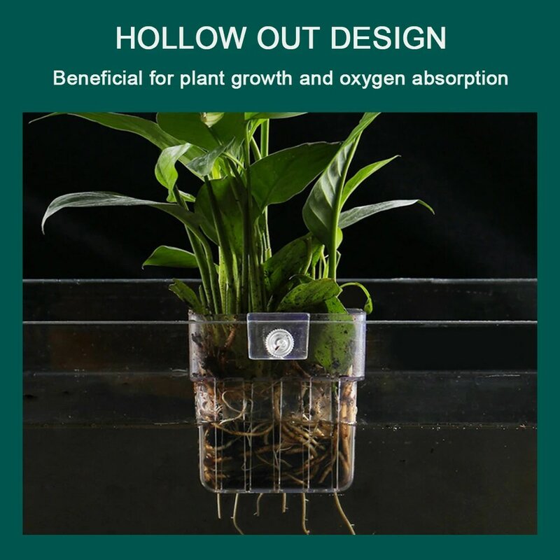 Hollow Fish Tank Hydroponic Basket Reusable Aquascapes Decoration For Houseplants