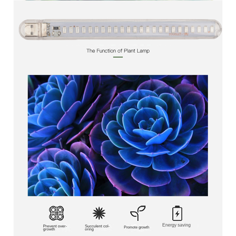 LED تزايد ضوء USB 5 فولت الطيف الكامل نمو النبات مصباح مصابيح فيتو داخلي ل الدفيئة المنزل خيمة الزهور الشتلات الإضاءة