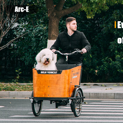 Vélo cargo électrique avec certificat CE, porte-chien pour animaux de compagnie, poussette pour grands chiens