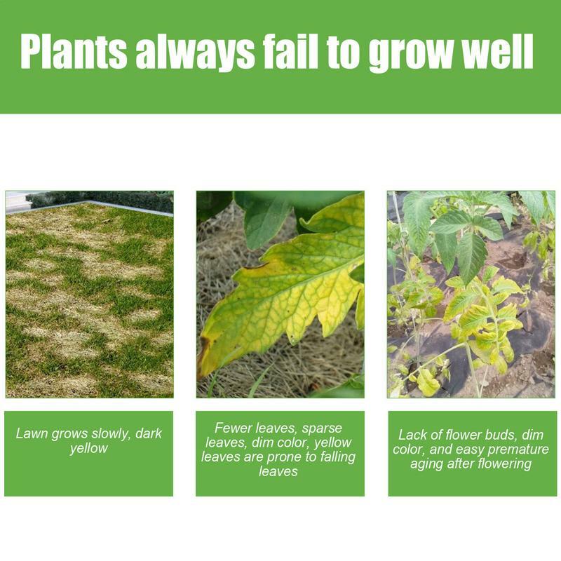Rehausseur de croissance alimentaire pour plantes d'intérieur, croissance des plantes de jardin, naturel et sûr, navigateur liquide pour l'entretien de la pelouse