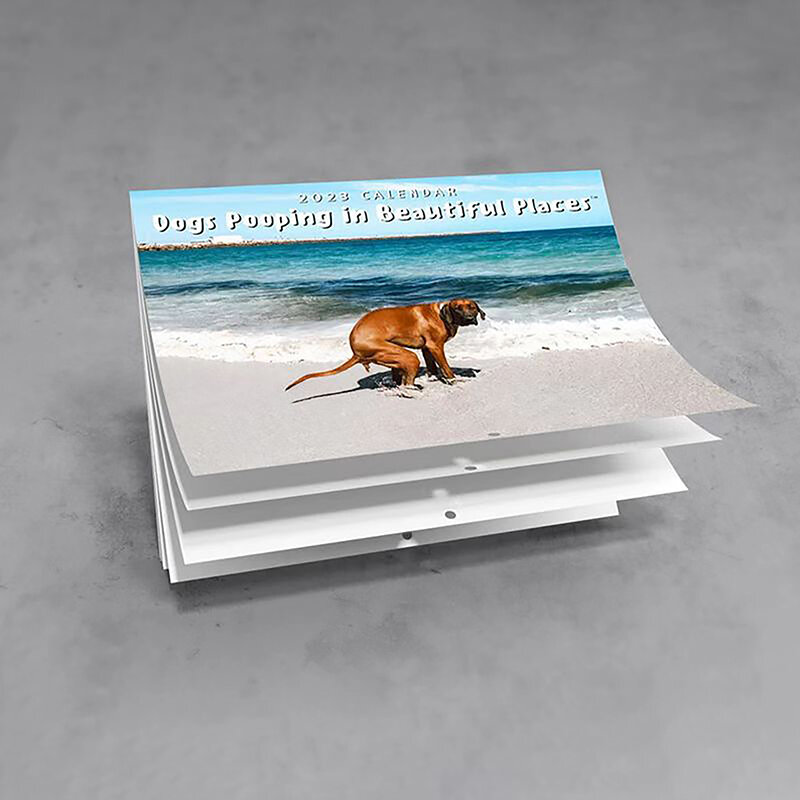 Grappige Hond Poepen Muur Kalender 2024 Unieke Kalender Cadeau Voor Vrienden Familie Buren Collega 'S Familieleden Geliefden